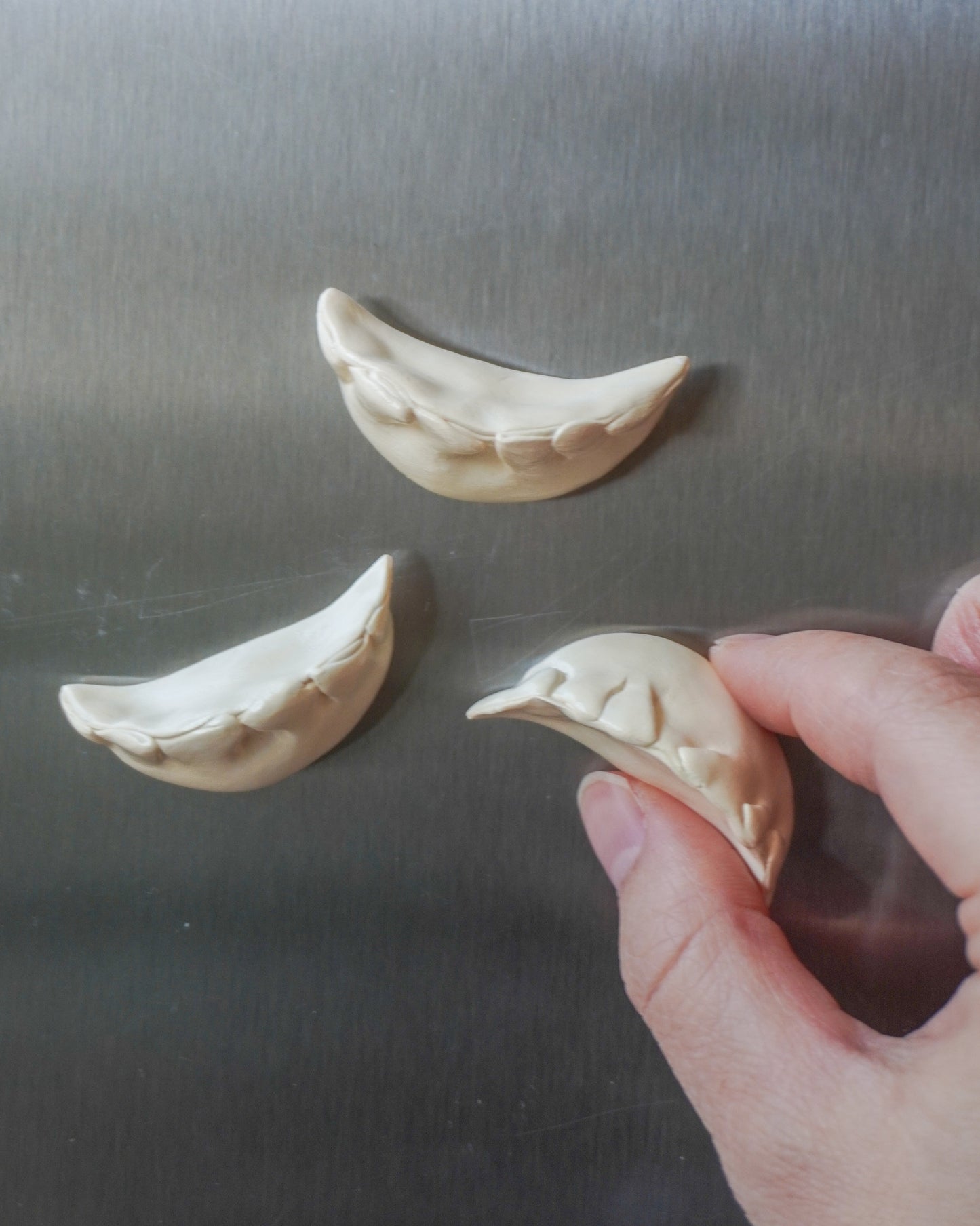 Dumpling Fridge Magnets (Set of 3)