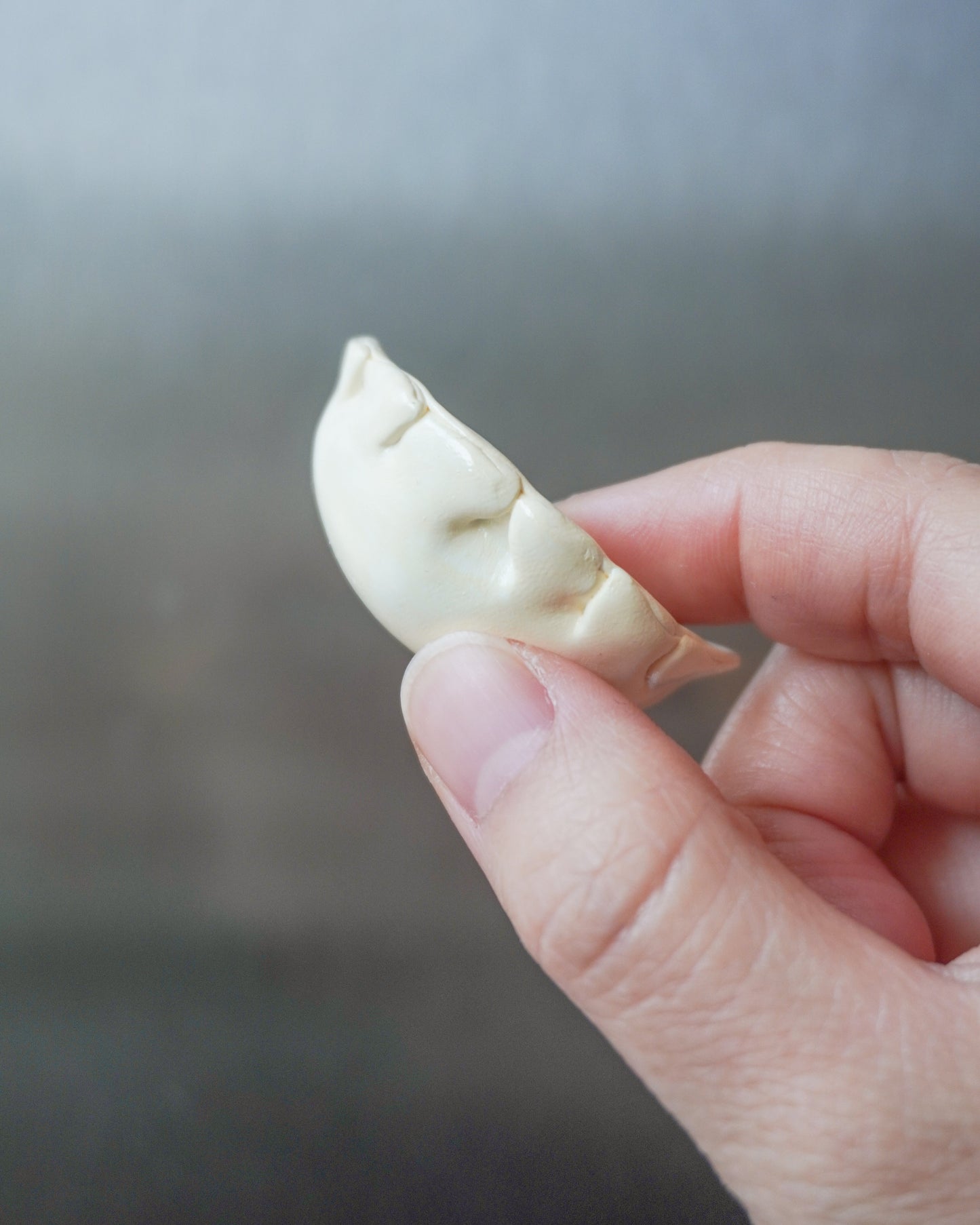 Dumpling Fridge Magnets (Set of 3)