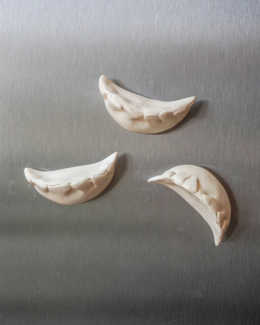 Dumpling Fridge Magnets (Set of 3)